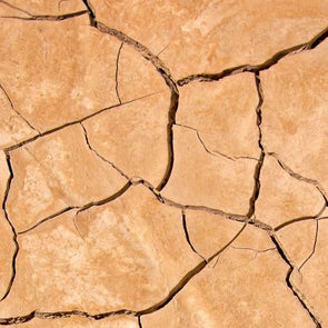 The key differences between dry and dehydrated skin 