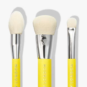 Which makeup brushes do you need in your kit?