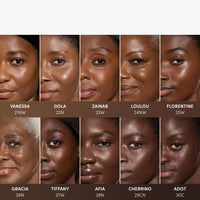 FEARLESS Skin Tint Drops - Dola 22N